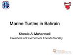Marine Turtles in Bahrain