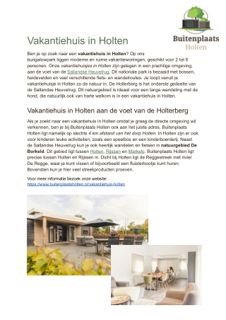Vakantiehuis Holten