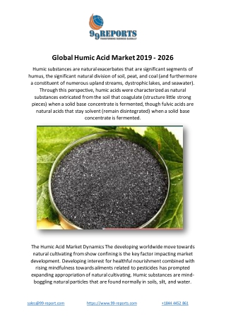 Global Humic Acid Market 2019 - 2026