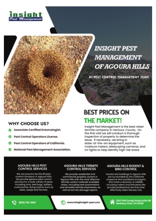 Termite Control Ventura | Ventura Pest Inspection