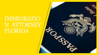 Immigration Attorney Florida