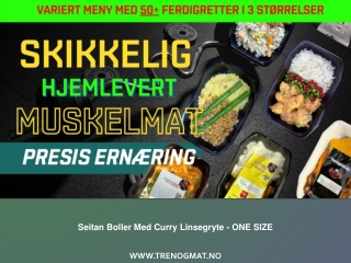 Seitan Boller Med Curry Linsegryte - ONE SIZE
