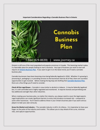 Important Considerations Regarding a Cannabis Business Plan in Ontario