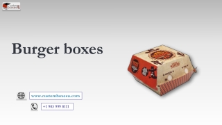 Burger boxes with cheap prices available in USA