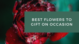 BEst flowers to gift on occasion