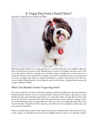 Is Vegan Dog Food a Good Choice