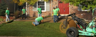 Sod Supplier - Where to Buy Sod in Denver