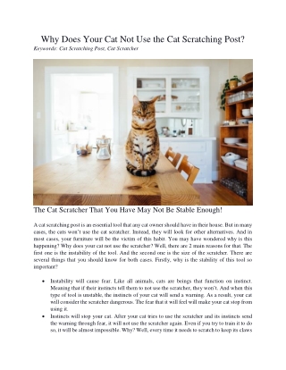 Why Does Your Cat Not Use the Cat Scratching Post