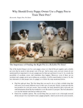 Why Should Every Puppy Owner Use a Puppy Pen to Train Their Pets
