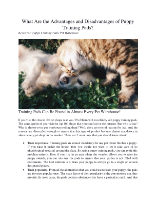 What Are the Advantages and Disadvantages of Puppy Training Pads