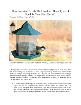 How Important Are the Bird Seed and Other Types of Food for Your Pet’s Health