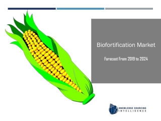 Biofortification Market to be Worth US$153.527 million by 2024