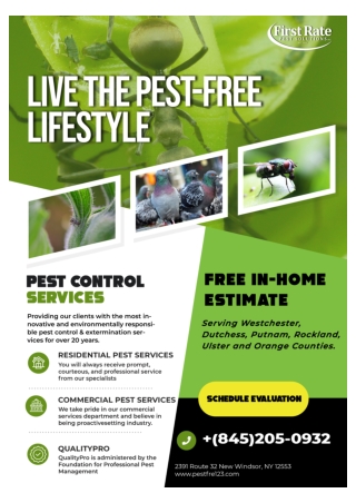 Exterminator Orange County | Bee Removal Orange County