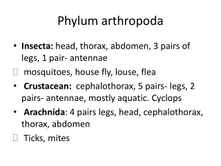 Phylum arthropoda