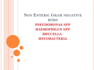 Non Enteric Gram negative rods pseudomonas spp haemophilus spp brucella mycobacteria