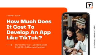 How Much Does It Cost To Develop An App Like TikTok?