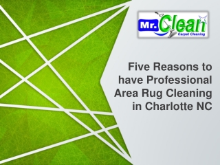 Five Reasons to have Professional Area Rug Cleaning in Charlotte NC