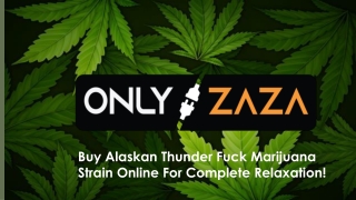 Alaskan Thunder Fuck Cannabis Strain | ONLYZAZA