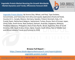 Vegetable Protein Market Boosting the Growth Worldwide - Market Dynamics and Trends, Efficiencies Forecast 2028