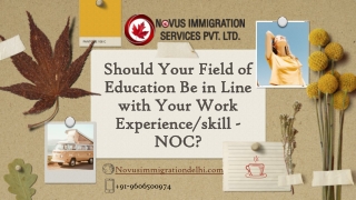 Best Visa Consultant in Delhi