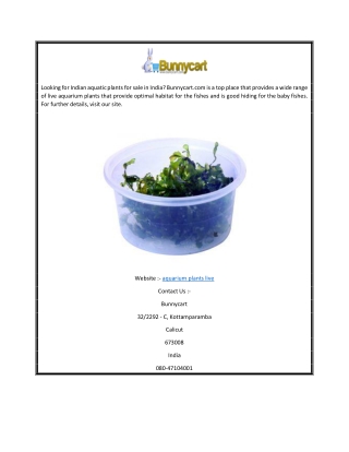 Aquarium Plants Live  Bunnycart.com