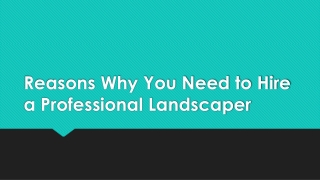 Reasons Why You Need to Hire a Professional Landscaper