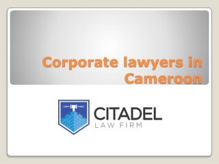 Corporate lawyers in Cameroon