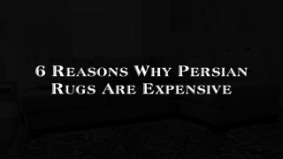 Why Persian Rugs Are Expensive | Area Rugs For Living Room In Perth