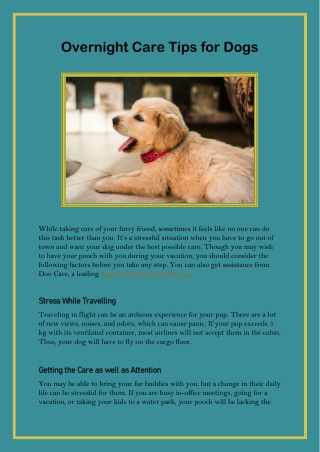 OVERNIGHT CARE TIPS FOR DOGS