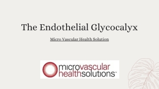 Endothelial Glycocalyx