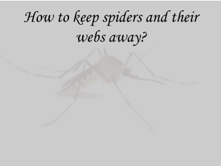 How to keep spiders and their webs away