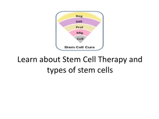 Learn about Stem Cell Therapy and types of stem cells