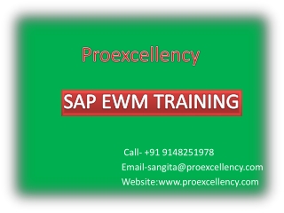 Proexcellency   provides  S4HANA  EWM  TRAINING.