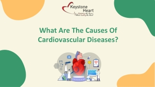 What Are The Causes Of Cardiovascular Diseases?