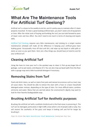What Are The Maintenance Tools For Artificial Turf Geelong_