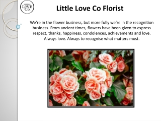 Wedding Flowers Adelaide - Wedding Florist Adelaide