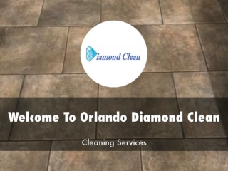 Information Presentation Of Orlando Diamond Clean