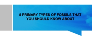 5 PRIMARY TYPES OF FOSSILS THAT YOU SHOULD KNOW ABOUT