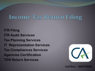 Income Tax Return Filing