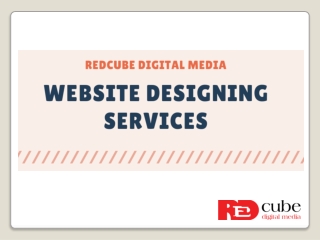 Website Designing Services - RedCube Digital Media