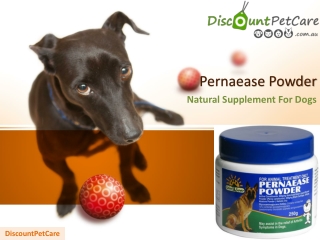 Buy Pernaease Powder for Dogs Online - DiscountPetCare