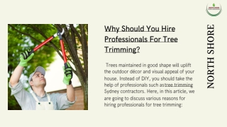 Why Should You Hire Professionals For Tree Trimming