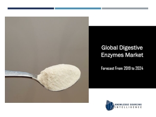 Global Digestive Enzymes Market to be Worth US$1501.206 million by 2024