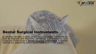 Dental Surgical Instruments