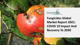 Fungicides Market Industry Analysis, Demand and Growth Opportunity