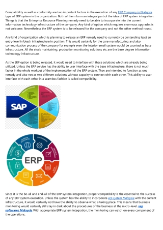 ERP System Integration Into the Infrastructure of an Organization