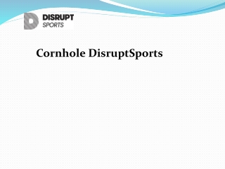 Custom Cornhole DisruptSports