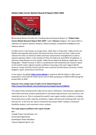 Global Cable Carrier Market Research Report 2021-2025