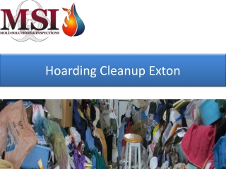 Hoarding Cleanup Exton