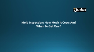 Mold Inspection: How Much It Costs And When To Get One?